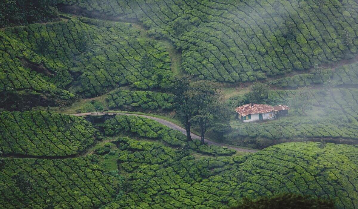 Kerala Dream Vacation