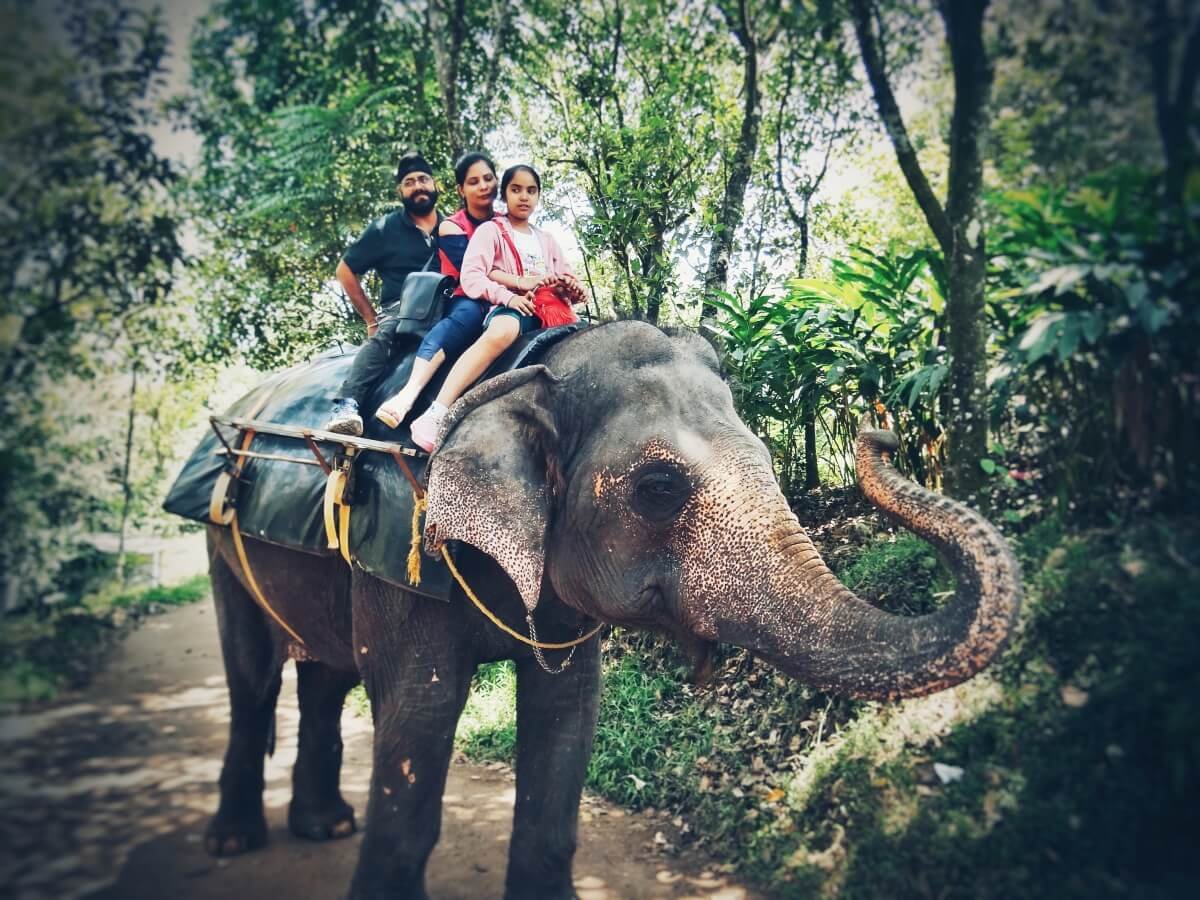 Kerala Elephant Ride