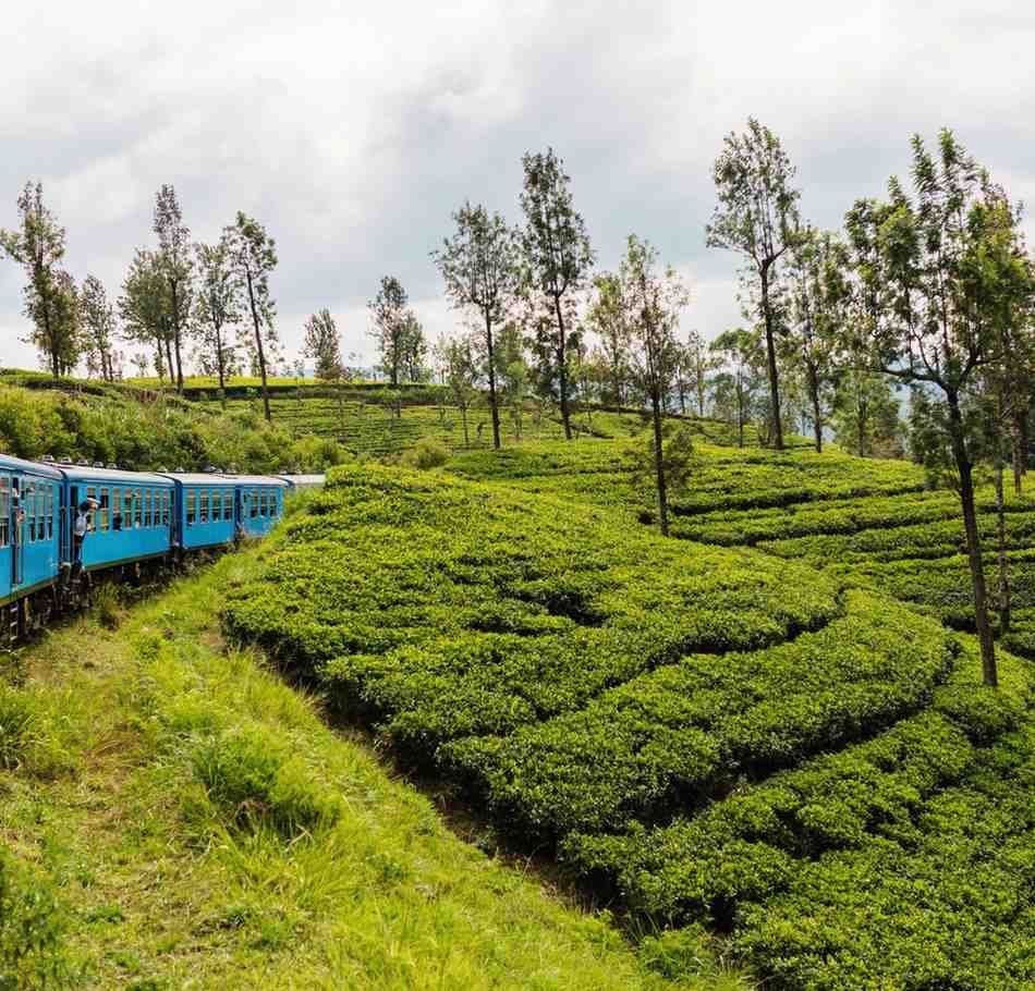 Sri Lanka Tour packages