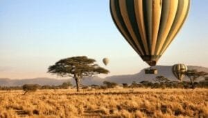 Tanzania Safari adventure