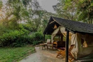 Luxury safari tent at Sarova Mara Game Camp surrounded by green forest in Masai Mara, Kenya