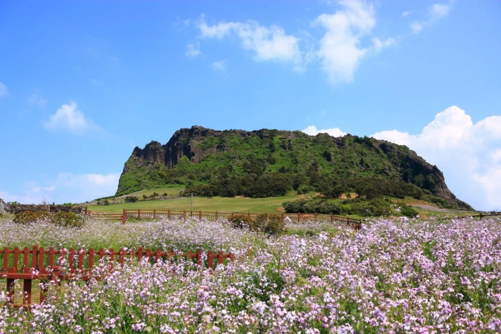Jeju Package Tours