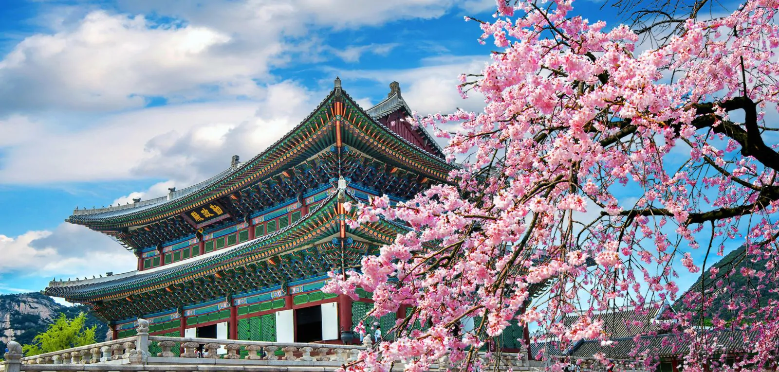 South Korea Holiday Deals