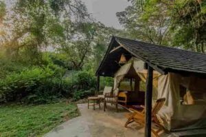 Luxury safari tent at Sarova Mara Game Camp surrounded by green forest in Masai Mara, Kenya