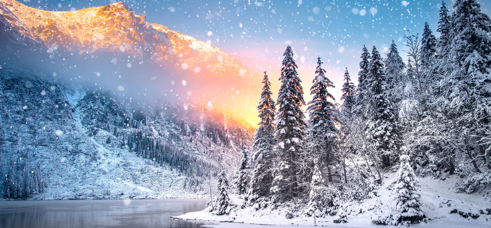 Halal-Friendly Winter Holidays: Switzerland, Finland, and Japan Ski Resorts